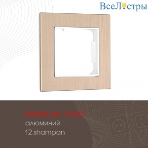 503.12-1.shampan