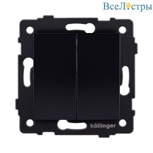 REA-R-011BK