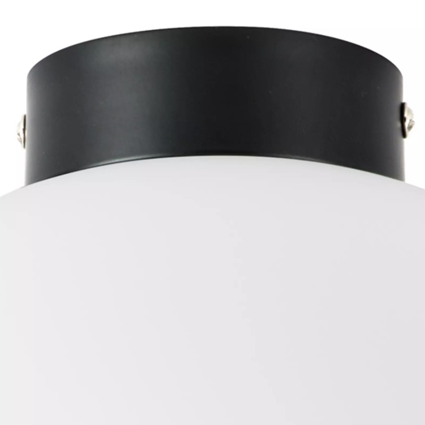потолочный светильник lightstar globo 812037