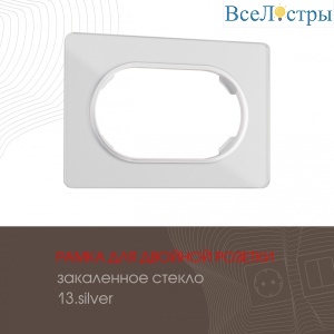 502.13-double.silver