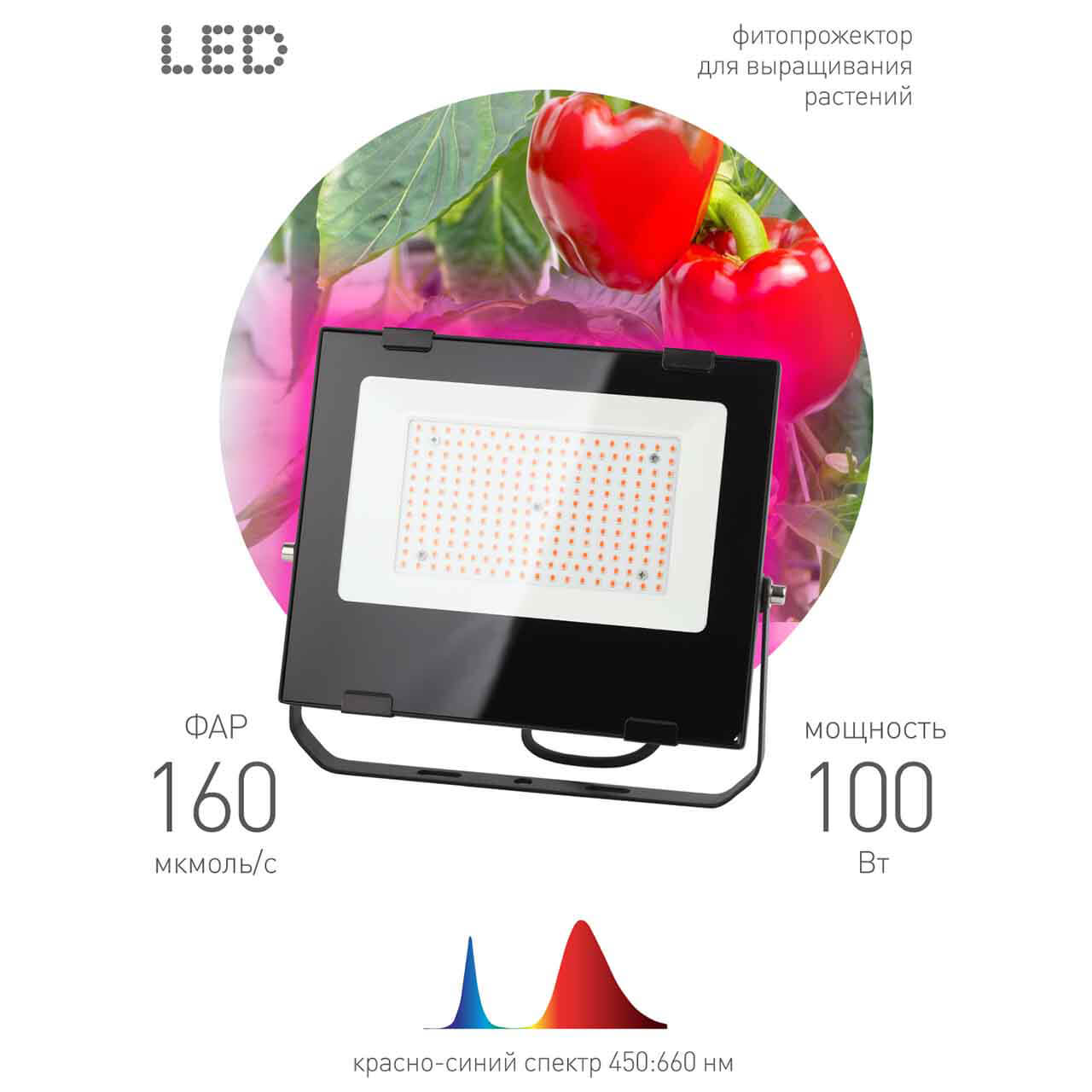 фитопрожектор для растений эра fito-100w-rb-led б0046369