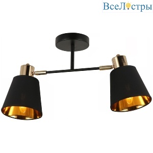 IL6116-2COU-79 BK GD Abelie