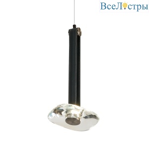 OD2553-1A black/clear