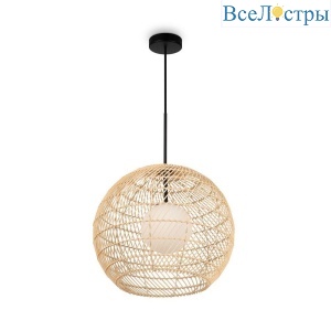 MOD204PL-01BG
