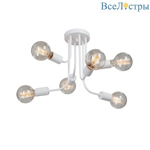 V4960-0/6PL