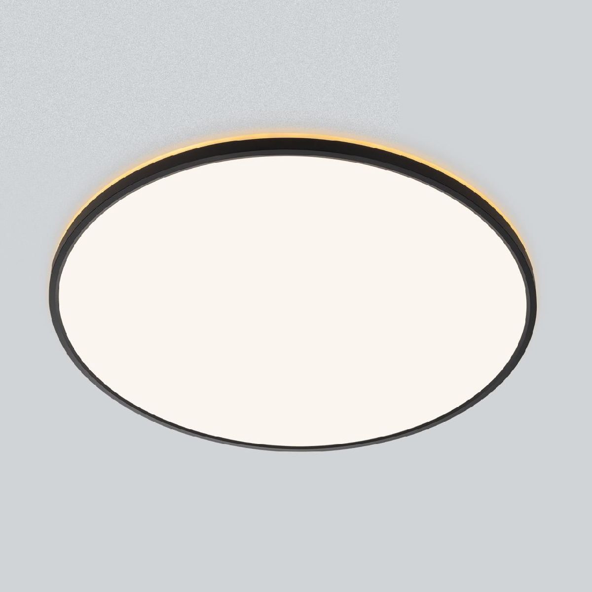потолочный светильник citilux norma cl748601