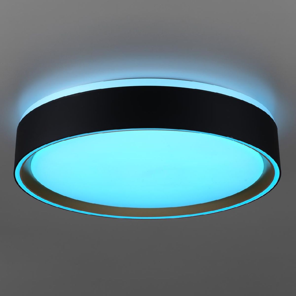 потолочный светильник citilux boss cl751251g
