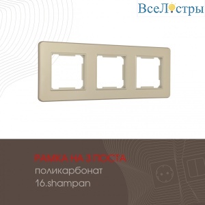 502.16-3.shampan