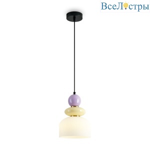 FR5595PL-01B