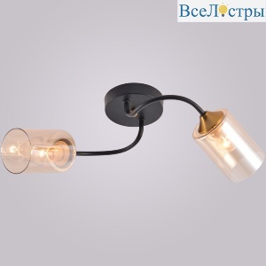 01608-0.3-02 BK+BRASS