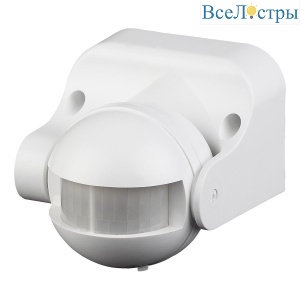 Б0043809