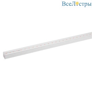 Б0045232