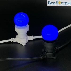LAMP1-2B