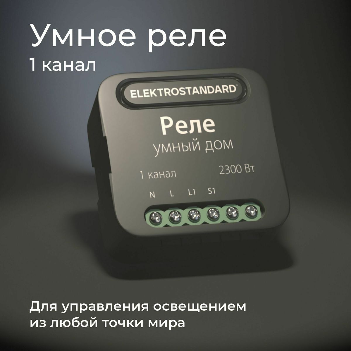 умное одноканальное реле elektrostandard 4690389185069 a059324