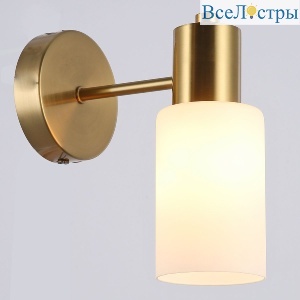 IL0110-1W-79 COP