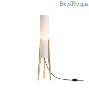 FR5543FL-01T
