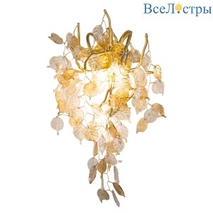 FOREST AP3 GOLD