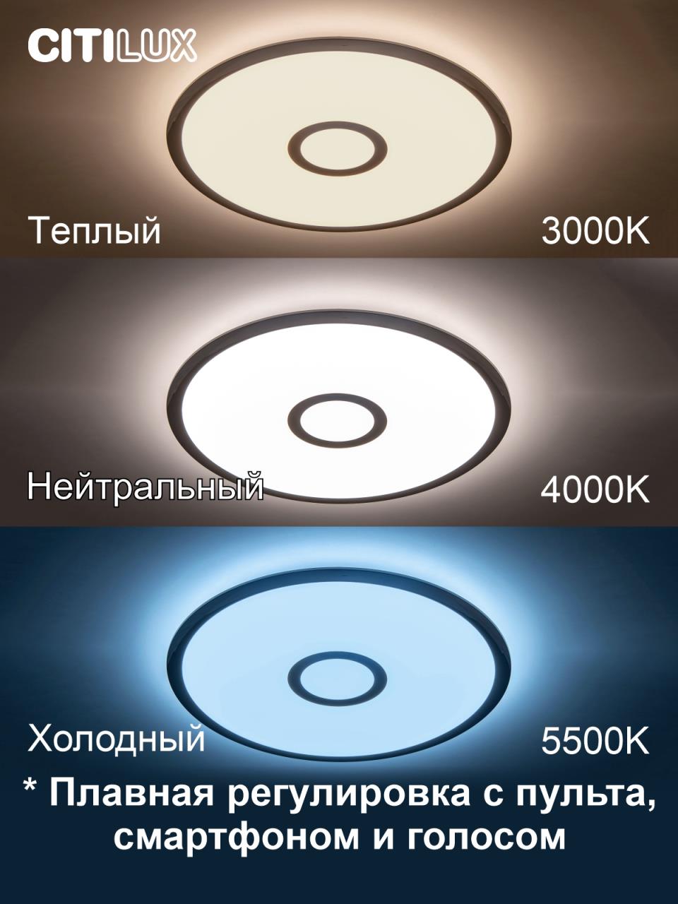 накладной светильник citilux cl703a40g
