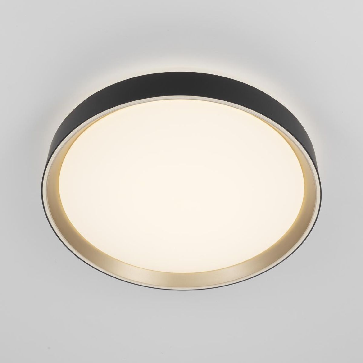 потолочный светильник citilux boss cl751351g