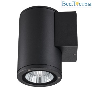 ULU-S21С-12W/6400K IP65 BLACK