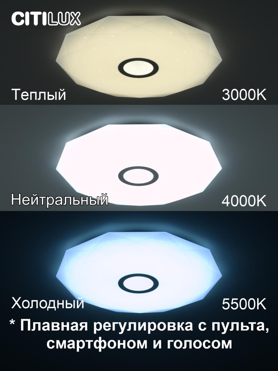 накладной светильник citilux cl713a80g