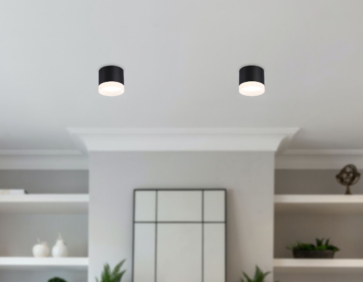 накладной светильник ambrella light acrylic frost tn5366