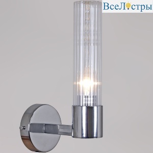 IL0313-1W-79 CR