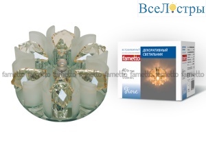 DLS-F120 G4 GLASSY/CLEAR+CHAMPAGNE