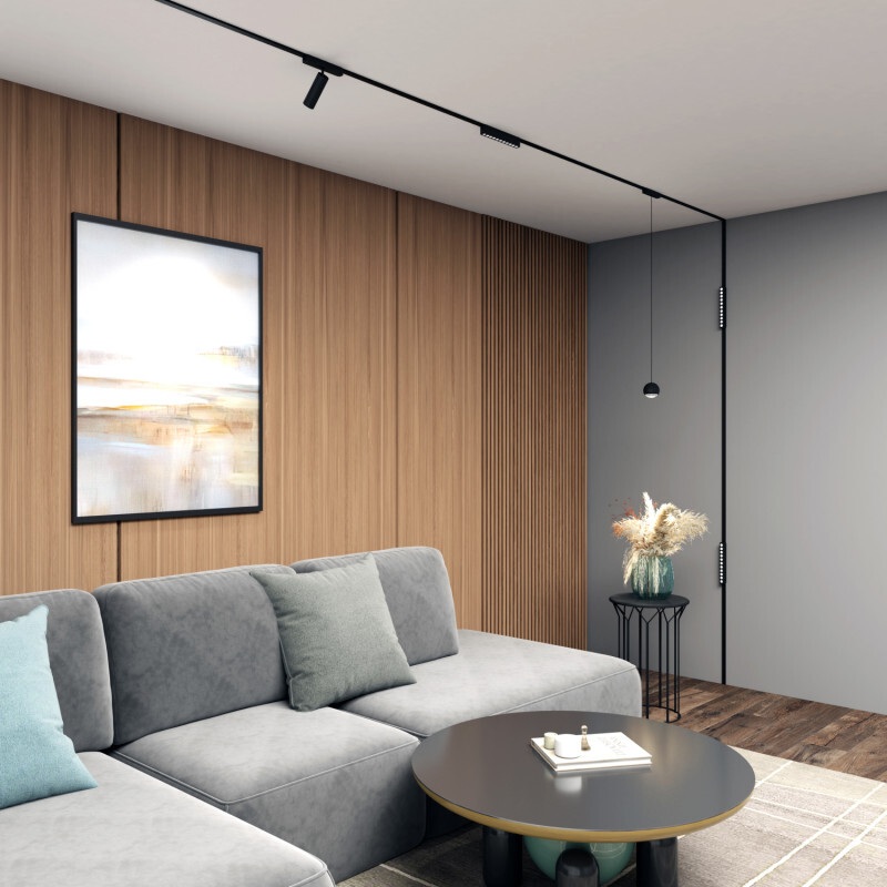 трековая магнитная система Denkirs Air Spot в гостиной над диваном.jpg