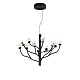 подвесная люстра delight collection p0550-12a black