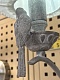 настольная лампа maytoni bird arm013-11-w