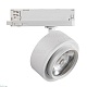трековый трехфазный светильник kanlux btl 35656