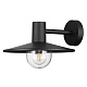 уличный настенный светильник odeon light nature furcadia 4833/1w