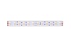 светодиодная лента designled dsg5120-24-w+ww-33 000515