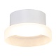 потолочный светильник feron opal hl460 51682