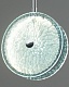 подвесной светильник moderli marnia v11159-pl