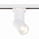 трековый светодиодный светильник st luce st650.546.10