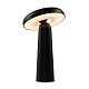 настольная аккумуляторная лампа freya mushroom fr6109tl-l4b