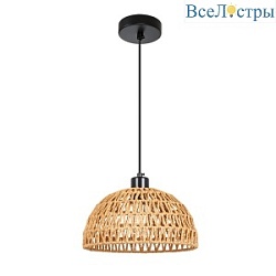 Подвесной светильник Arte Lamp Brushwood A7086SP-1BK