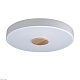 потолочный светодиодный светильник loft it axel 10003/24 white