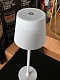 уличный настольный светильник arte lamp fuyue a1614lt-1wh