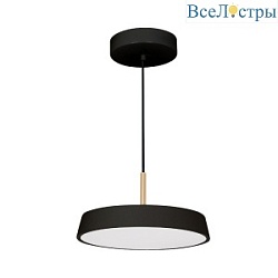 Подвесной светильник Arlight SP-ELEGANT-R300-17W Day4000 (BK, 120 deg, 230V) 033920(1)