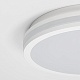 потолочный светильник citilux luns cl711020v