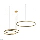 подвесной светодиодный светильник loft it ring 10017/3m