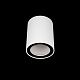 накладной светильник loft it rush 10344 white