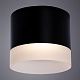 потолочный светильник arte lamp castor a5554pl-1bk