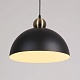 подвесной светильник arte lamp recinto a7053sp-1bk