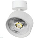 накладной светильник alta pro lightstar a5736so