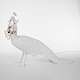 напольный светильник peacock seletti