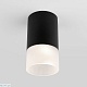 уличный потолочный светильник elektrostandard light led 4690389177910
